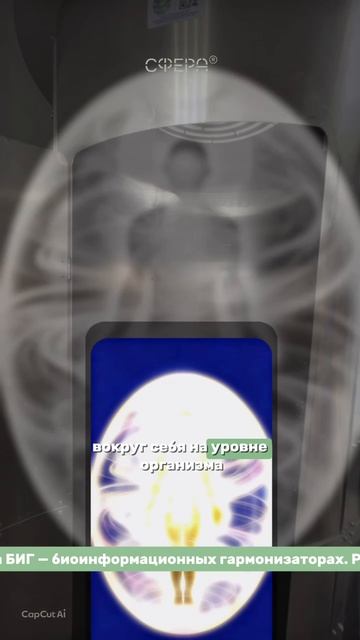 ЗЕРКАЛО КОЗЫРЕВА БИГ-В (ВЕРТИКАЛЬНОЕ) СО СПЕЦИАЛЬНЫМ МОРФИЧЕСКИМ РЕЗОНАТОРОМ «СФЕРА-ДС»