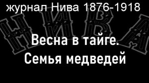 Весна в тайге.Семья медведей,Каразин,  журнал Нива 1876-1918