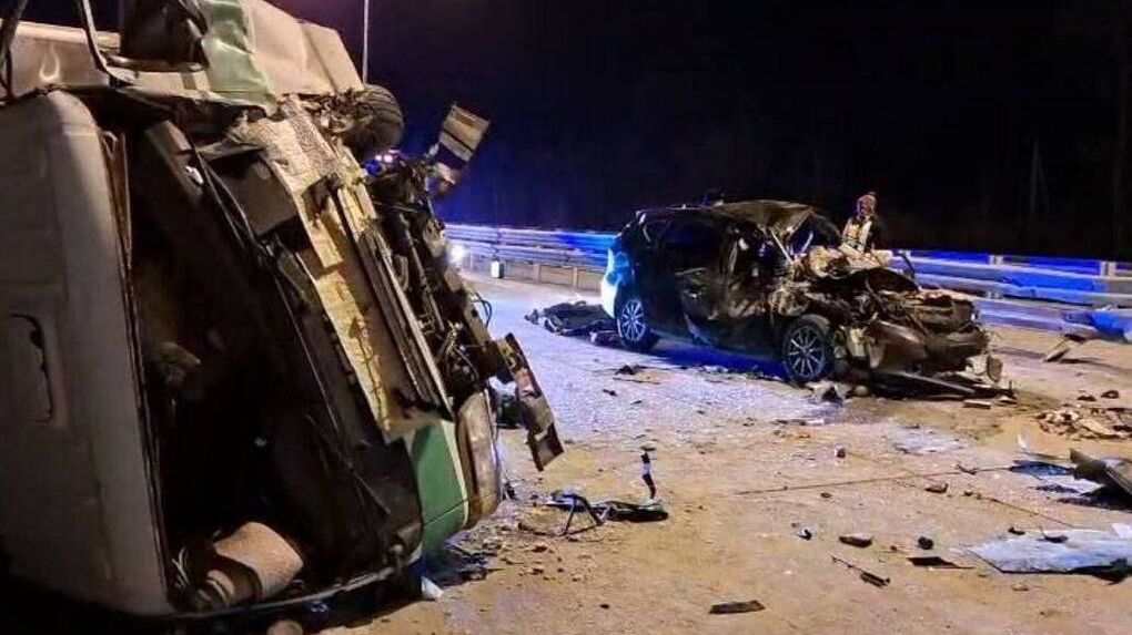 Аварии и ДТП на дорогах ТОРОПЫГИ за рулем