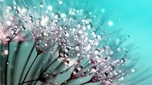 Царь Вечности