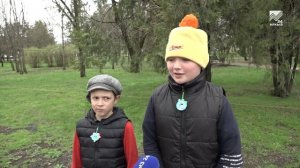 Две сотни саженцев катальпы высадили в Черкесске волонтеры экологического движения «Субботник»