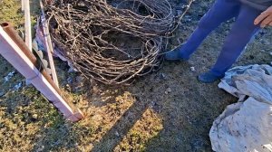 обработали виноград мощным опрыскивателем 05.04.26