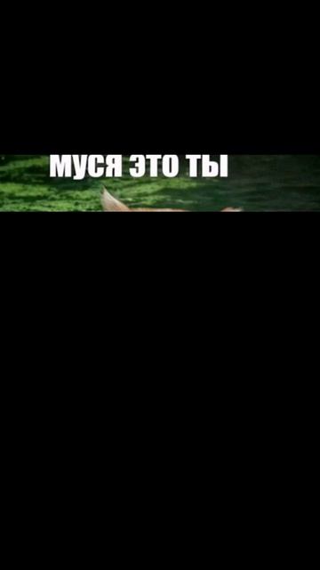 Муся, это ты? смотреть онлайн