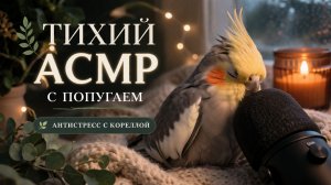 ТИХИЙ АСМР С ПОПУГАЕМ 🌿 АНТИСТРЕСС С КОРЕЛЛОЙ