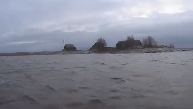 САМ ХОЗЯИН МОРЯ НАВЕСТИЛ МОРСКОЙ МАГАЗИН ИЗ КОЛЬЕВ!!!РАЗНЫЕ ПОРОДЫ РЫБ СЕГОДНЯ!!!