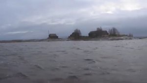 САМ ХОЗЯИН МОРЯ НАВЕСТИЛ МОРСКОЙ МАГАЗИН ИЗ КОЛЬЕВ!!!РАЗНЫЕ ПОРОДЫ РЫБ СЕГОДНЯ!!!