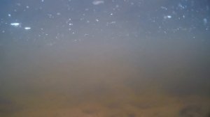 Река Сухона под водой. Подводная сьёмка