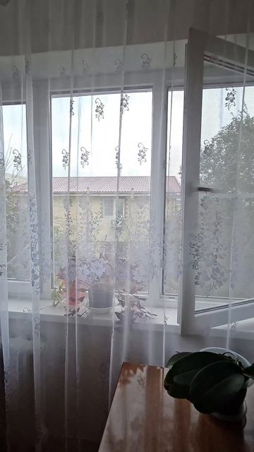 Отличная двушка в районе Адлера