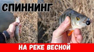 Как ловить на спиннинг весной_ Лучшие места для ловли ЩУКИ и ОКУНЯ весной