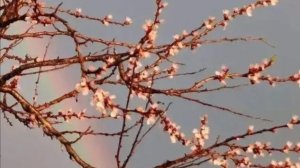 Погода на Ставрополье не перестает удивлять