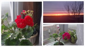 УЮТНЫЙ ВЛОГ🫠🏡6-7.04.2026/Первый☔️ дождь/Изысканный Деревенский обед/Рисуем шедевр #рек #мойдом