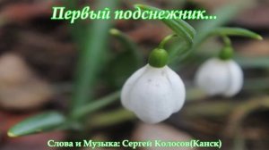Первый подснежник...(Слова Сергея Колосова)