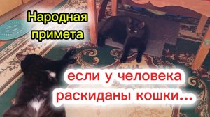 НАРОДНАЯ ПРИМЕТА про КОШЕК.