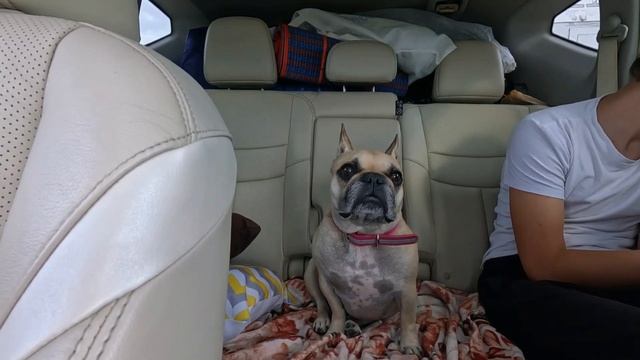 Едем в Краснодарский край #поездканаюг #намашиневотпуск #дорогавотпуск #краснодарскийкрай #вотпуск