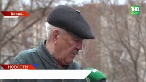 Нашествие крыс в Казани: грызуны повреждают машины и выходят к людям