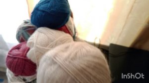 СП "Носочки с Таней 2026". Отчёт марта