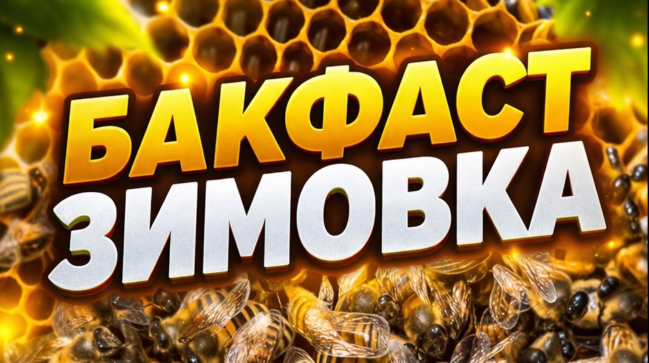 Расход корма при зимовке в Сибири. Пчёлы, пчеловодство