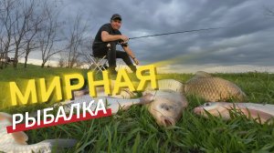 Ловля на фидер весной на водохранилище.