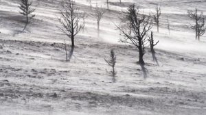 Depeche Mode – Enjoy the Silence eXcubitors Remix