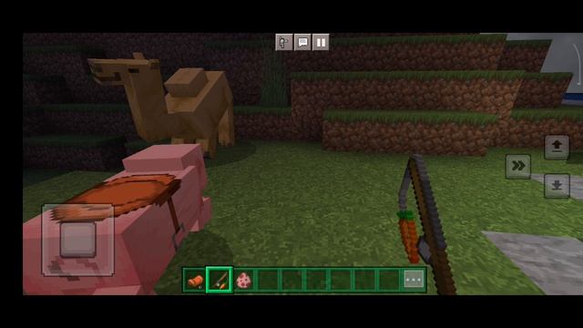 как кататься на свинтусе