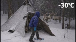 Выживание в условиях сильного холода: в одиночестве в лесу