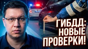 ГИБДД проверяет клиренс | Какие штрафы грозят?