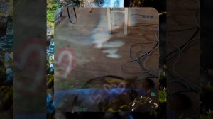 1000055311.mp4 (Собака наблюдает за устройством лестницы на 2-ой этаж в доме А-фрейм)