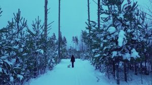 Музыкальное видео 2026 (Official Music Video) Клип