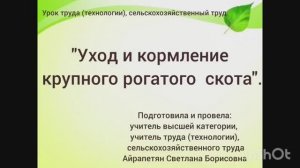 Видеофрагмент урока "Уход и кормление крупного рогатого скота"