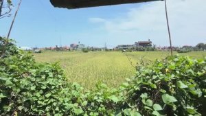 Беженец🇮🇩Бали. СИНДИ СДЕЛАЛА КЕРАТИНОВОЕ ВЫПРЯМЛЕНИЕ ВОЛОС. КУДА ЛЕТЕТЬ ИЗ БАЛИ! ГРУСТНАЯ МЕДИЦИНА