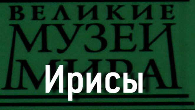 Ирисы.Винсент Ван Гог,  описание