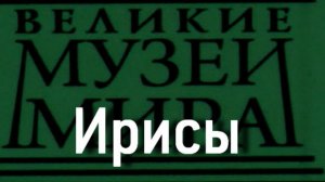 Ирисы.Винсент Ван Гог,  описание