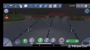 Днепр. Сом. Исследование