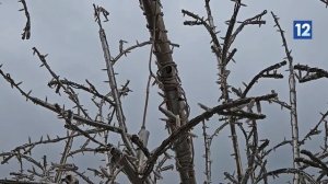 Видео от Первый городской