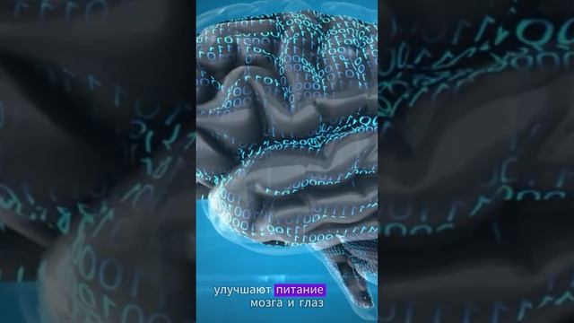 Высокотехнологичные очки - здоровье глаз / Ксения Крегер