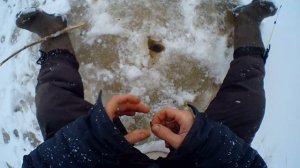 ОКУНИ на СИЛОСНЫХ ЧЕРВЕЙ. Зимняя рыбалка после обеда до темноты.