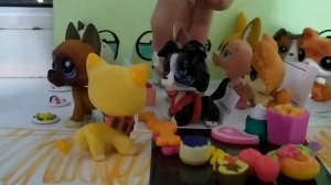 lps в  самолёте