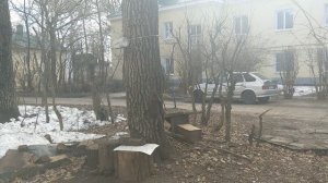 Льдинка растаяла