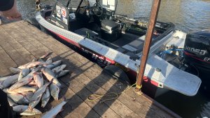 Весенняя рыбалка в Астраханской области 2026