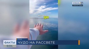 Стая дельфинов сопроводила сапсерфера на утренней прогулке в Сочи