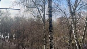 В центре г.Раменское - Квартира с видовым обзором на школу 1 и озеро Пионер !