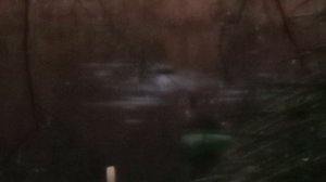 ВЕСНА. как много в этих звуках...для клуба любителей охоты с подсадной...