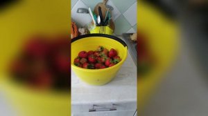 ВКУСНЫЕ И СЫТНЫЕ ОБЕДЫ В КАДРЕ🍕🥪🍲🥗🍳🍽🍽🍽