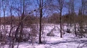 Россия Ленинградская область Выборгский район Бобочино поселок Поляны горка Церковная лета 2026/7535