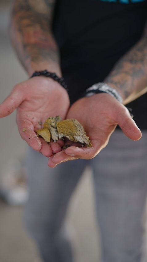 Нефрит не панацея шортс