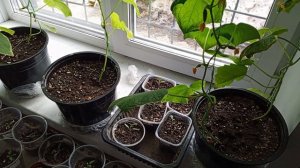 у всех много дел