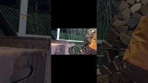 Вкуснейший шашлычок