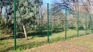 Ботанический сад.#Ьелочки. Павлины. Тюльпаны.Мы попали в сказку.