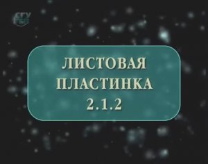 Листовая пластинка