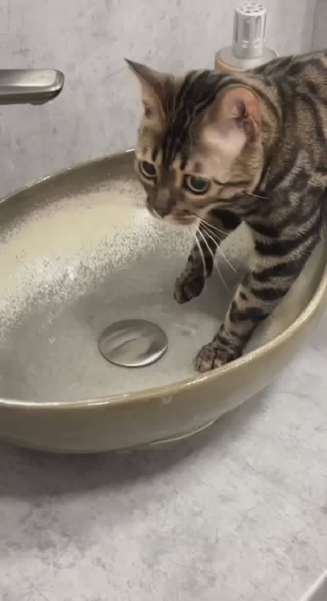 Любимый предмет интерьера.